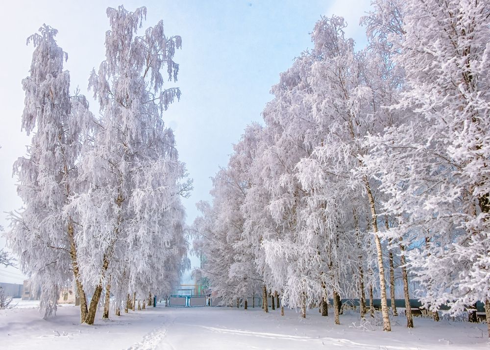 заморозило