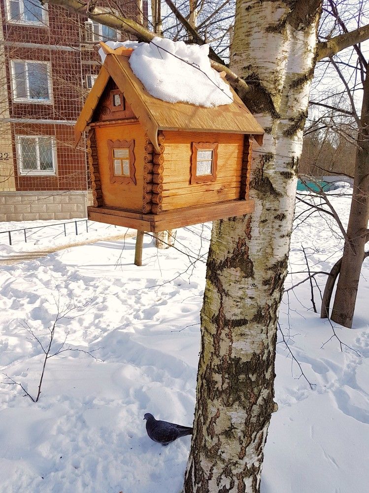 Скворечник