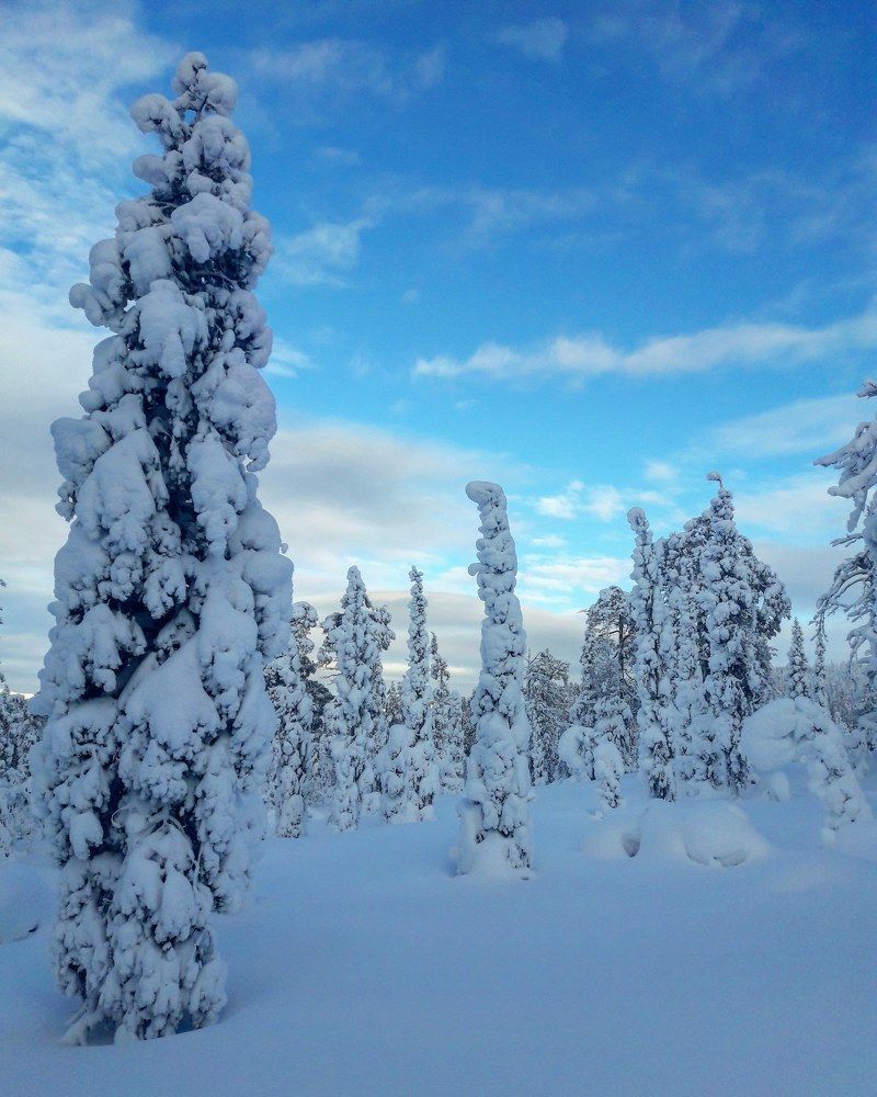 В гостях у сказки