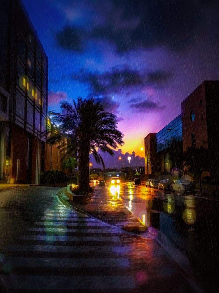 Дождливое утро