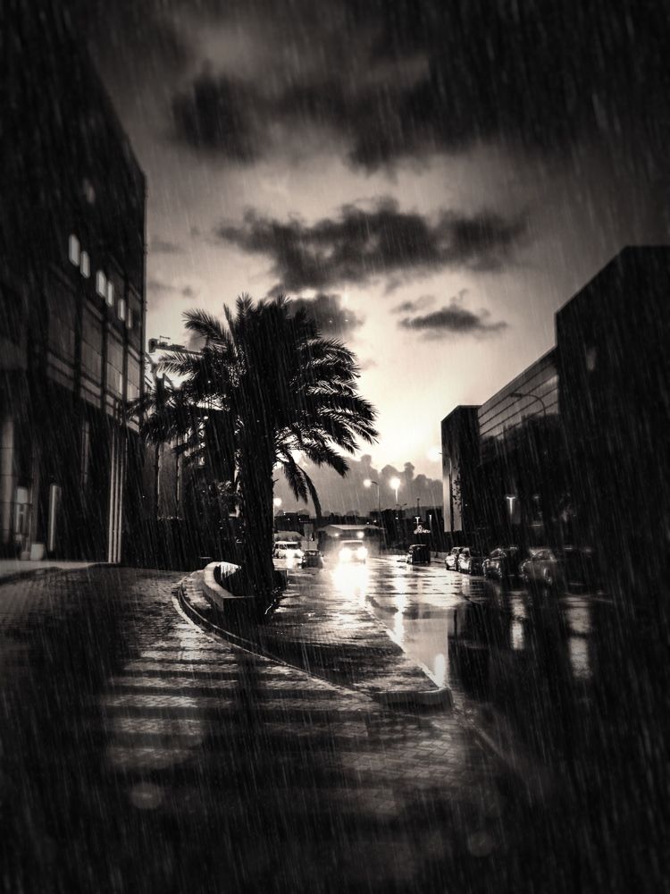 Photograph by Олег Стратиенко