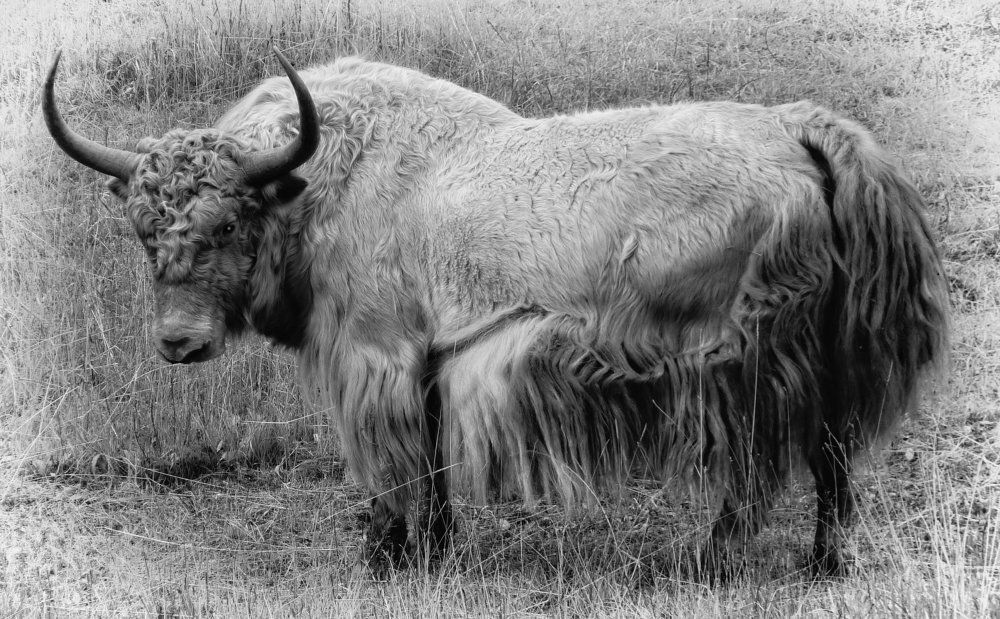 Photograph by Jaroslav Sameš