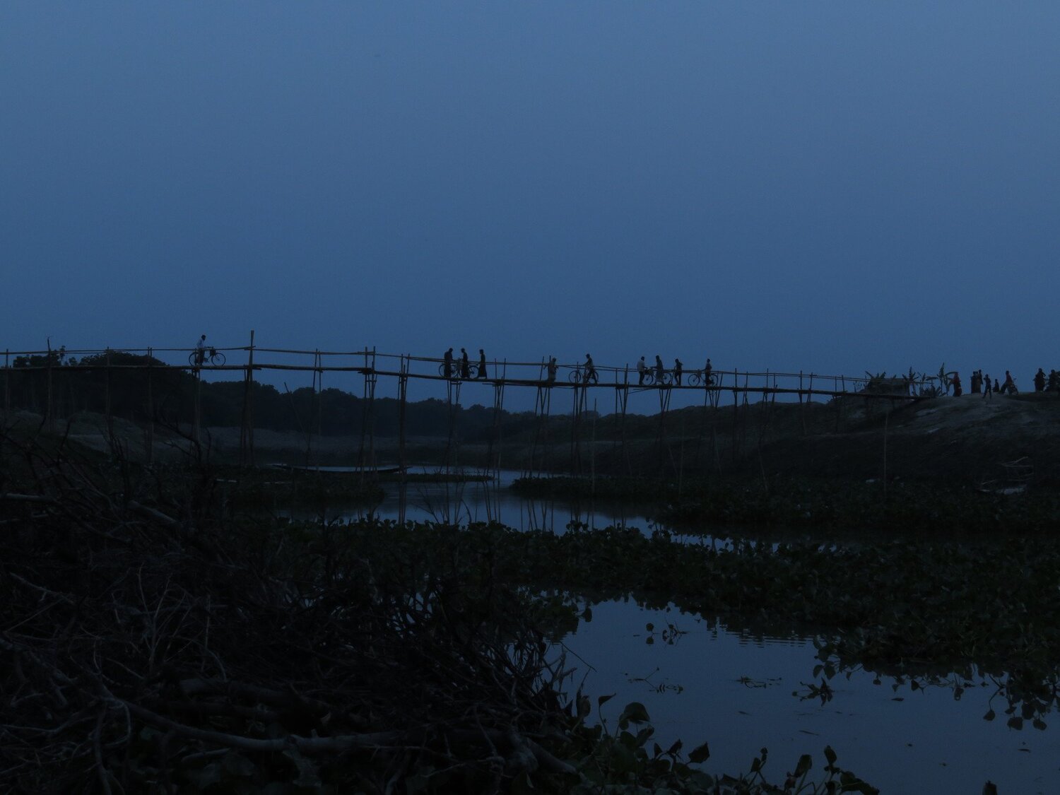 THE  BRIDGE