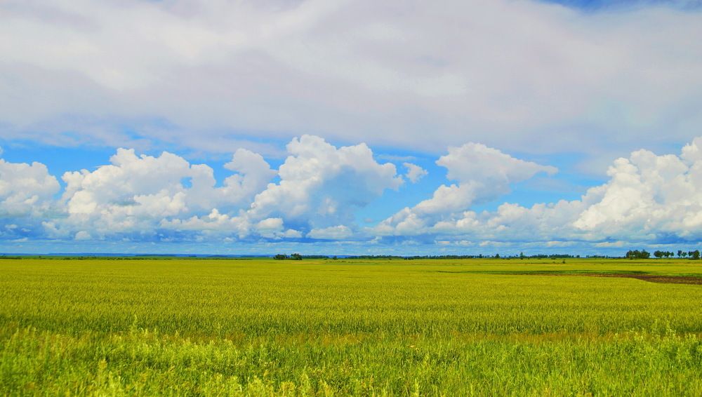 бескрайние просторы