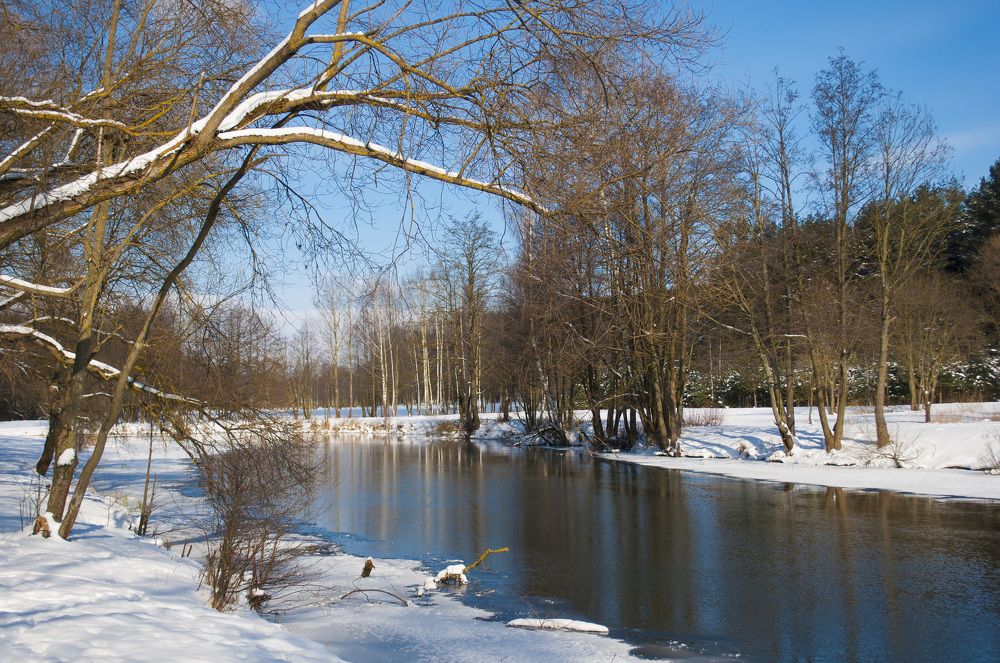 Приближение весны.