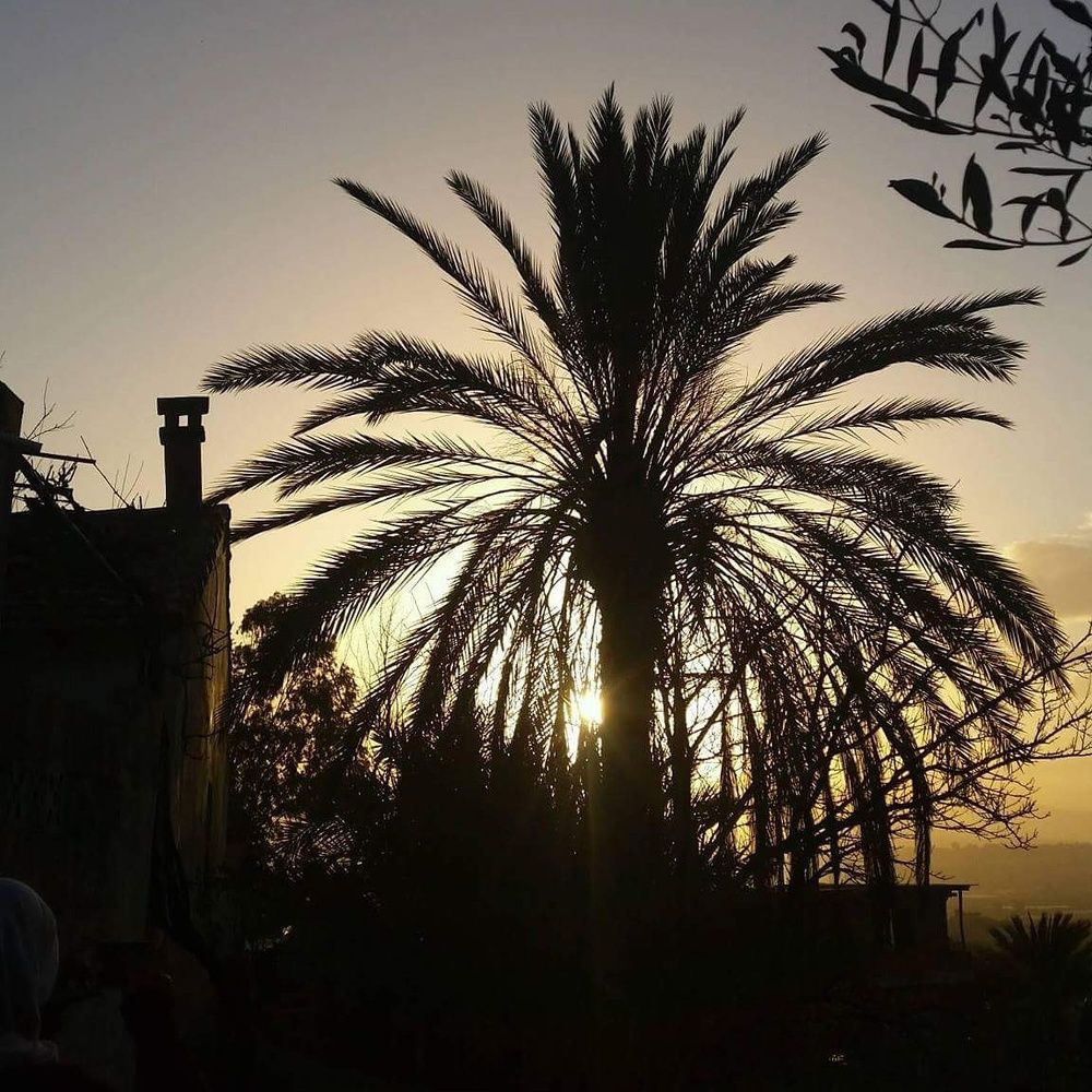 Photograph by Fatima