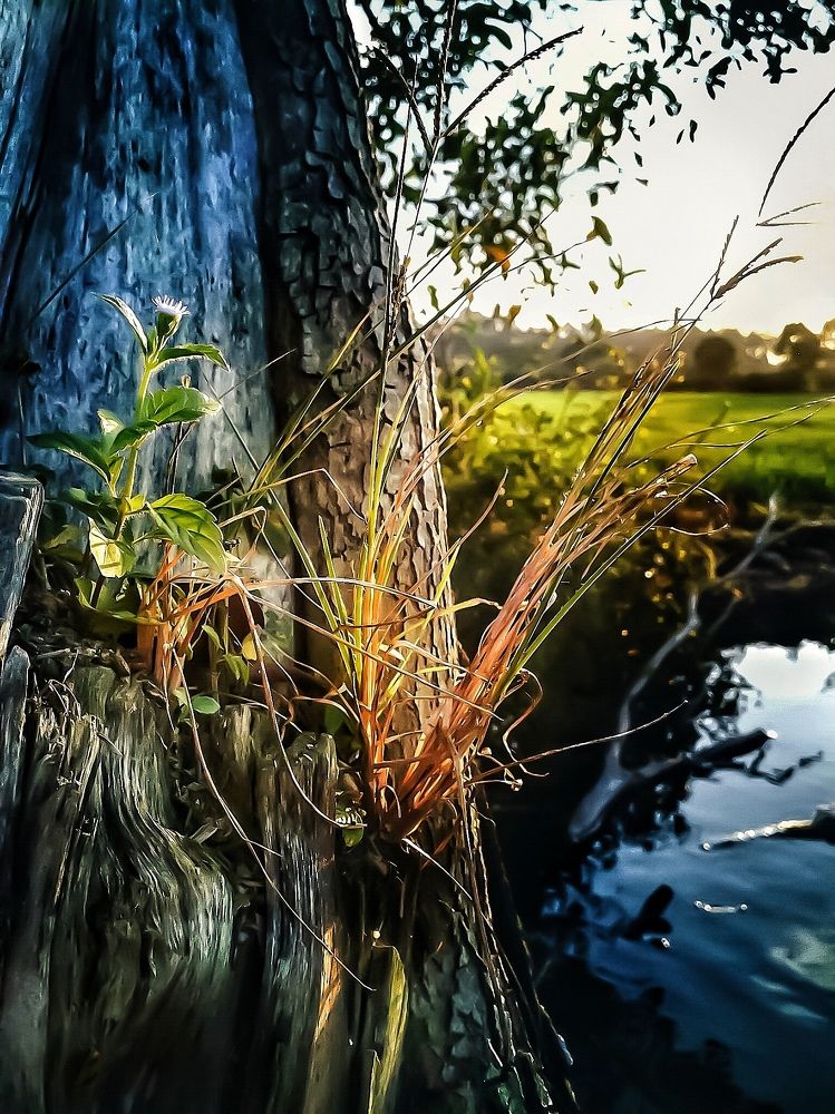 Togetherness in life