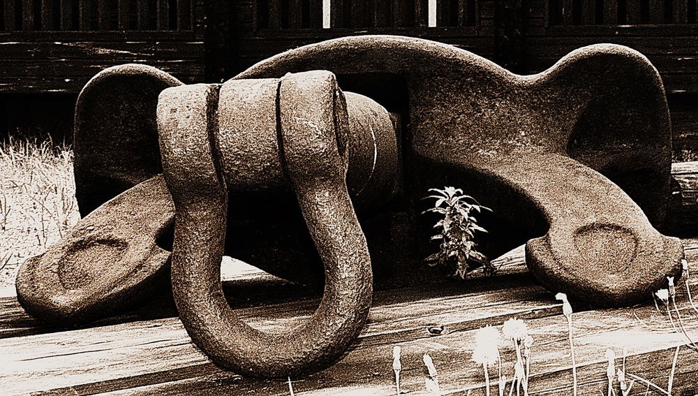 Большая "ЧЕРЕПАХА"