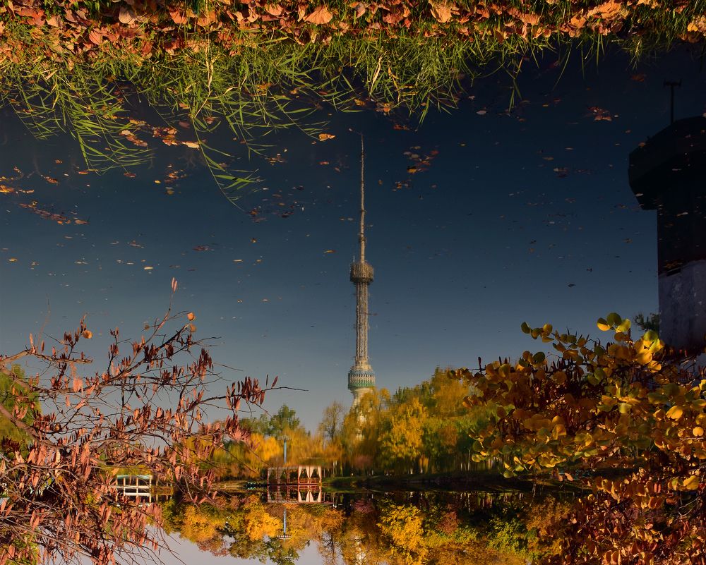 Осень в Ташкенте.