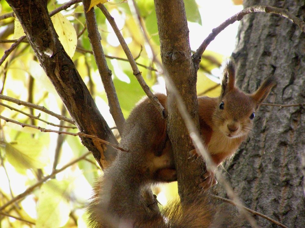 Давай играть в прятки!
