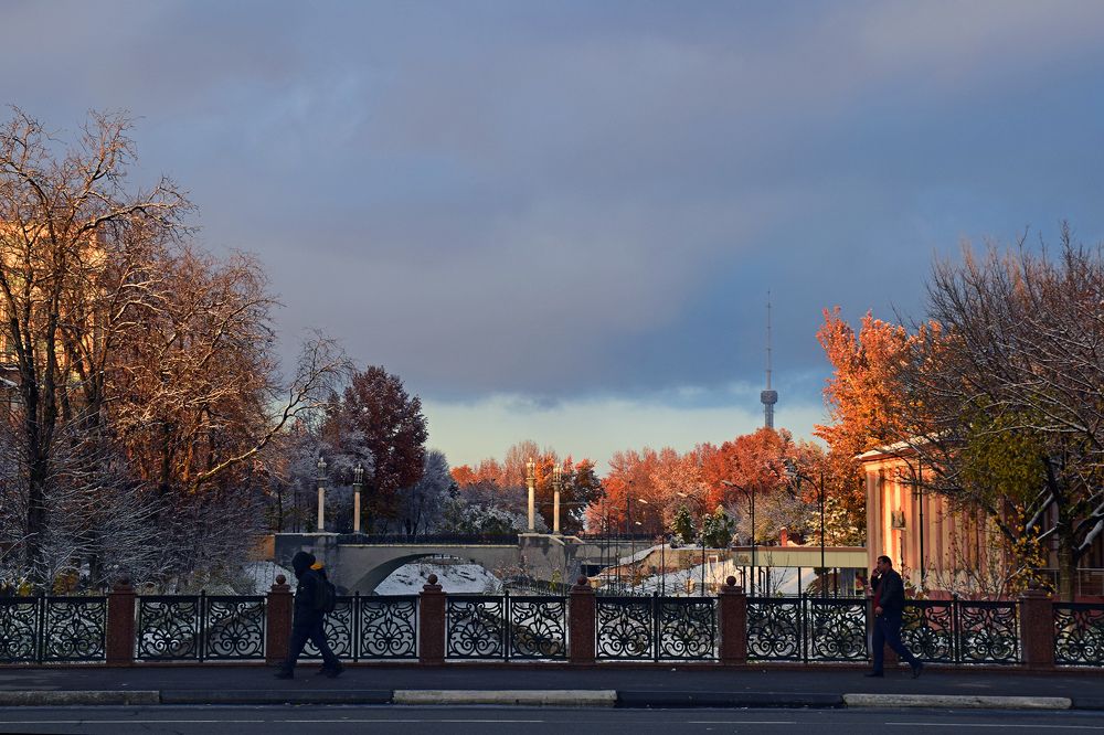 Осенний вечер в Ташкенте.