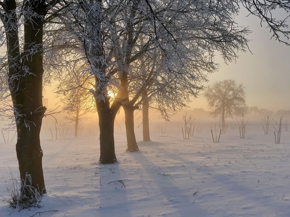 ... диминуэндо света ...