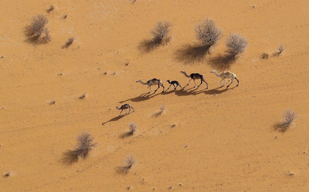 "....мама,папа,бабушка и мы..."