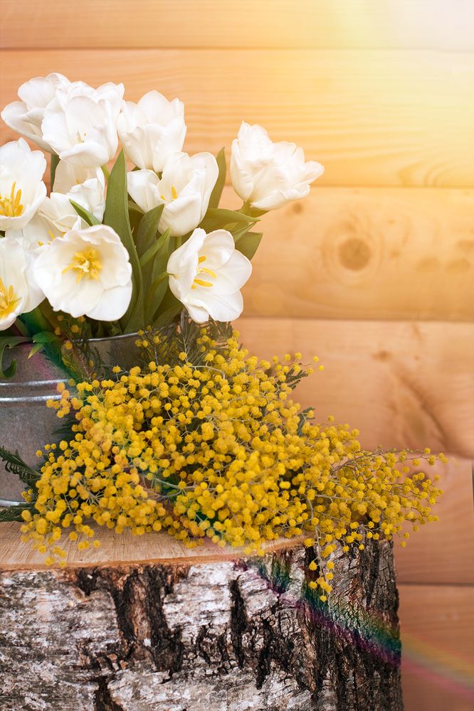 Запах весны