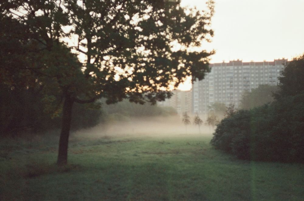 Утренний час.