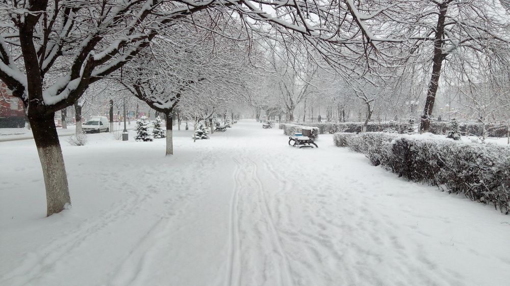 Фотография автора Александр Федоренко