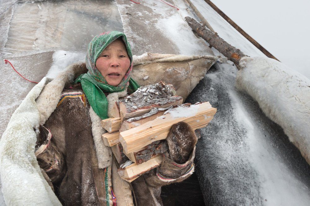 Photograph by Светлана Горбатых