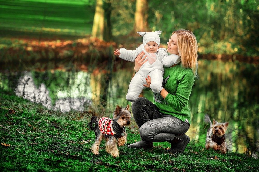 who let the dogs out