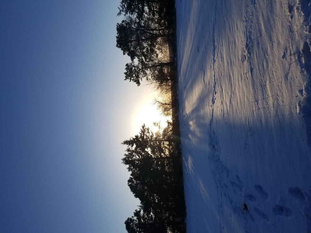 Winter wonderland