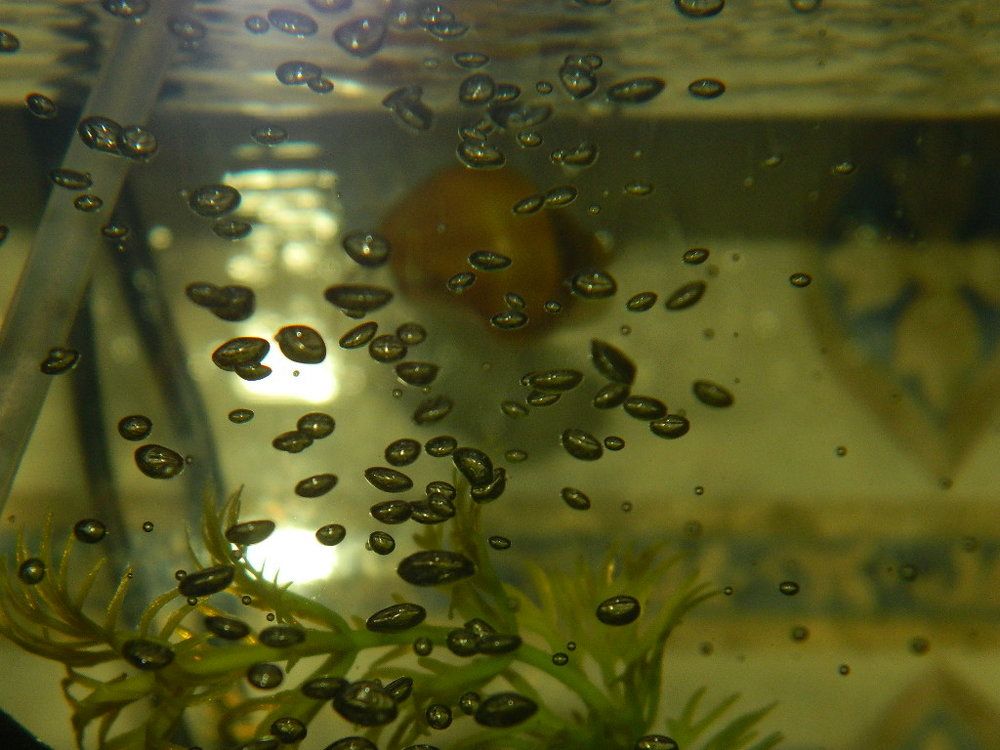 Photograph by Виктор