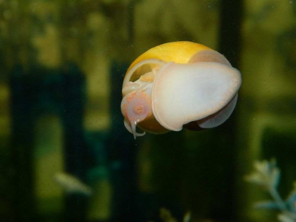 Photograph by Виктор