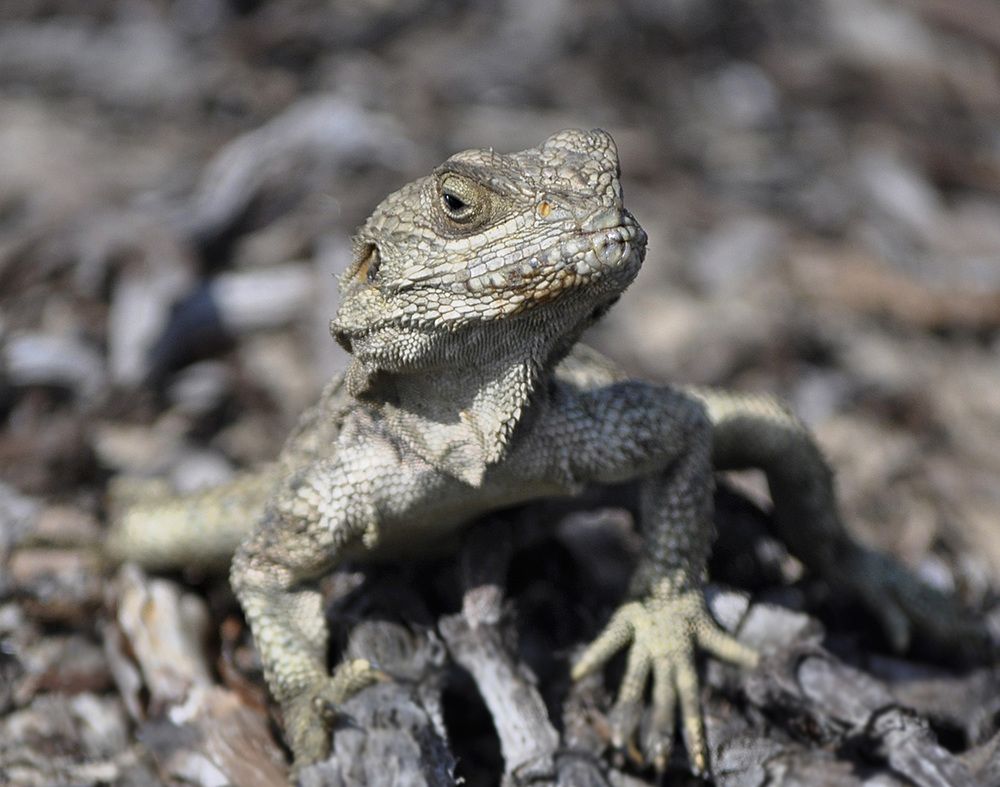 Photograph by Яков