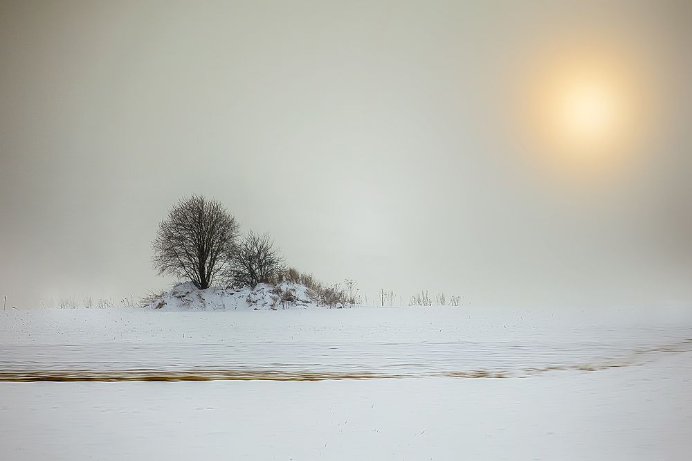 Утро туманное