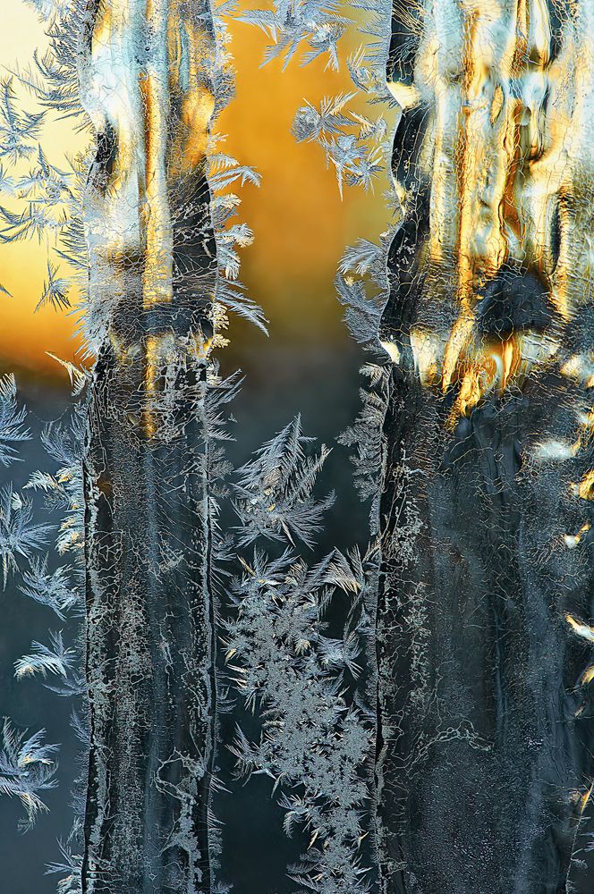 Морозные узоры