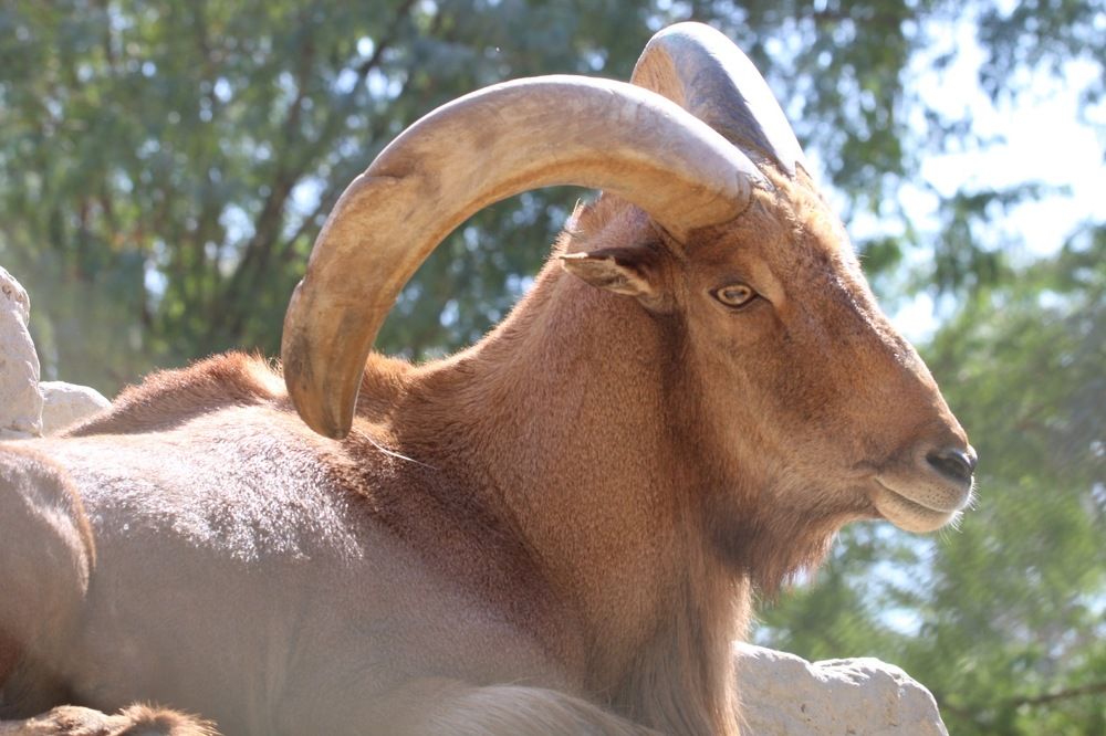 Photograph by abeesh sukumaran