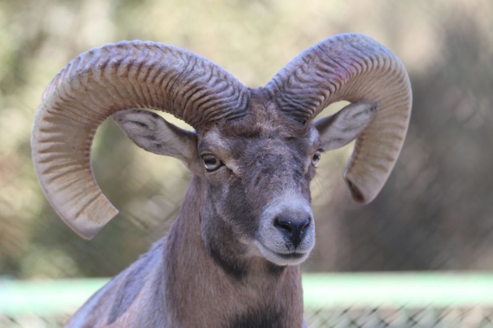 Photograph by abeesh sukumaran