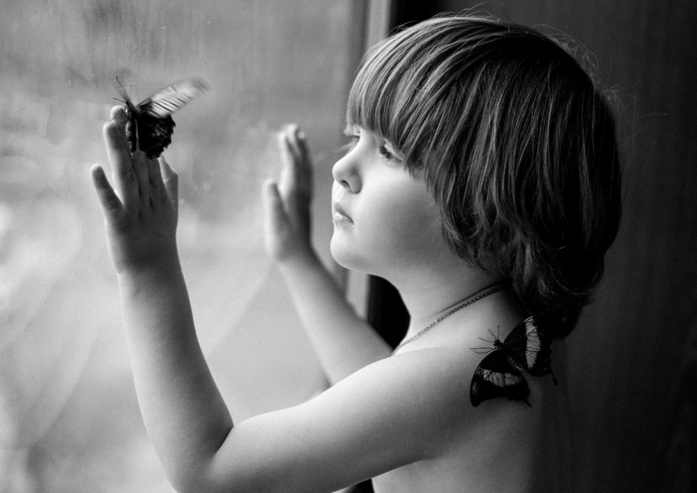 один миг из жизни бабочки