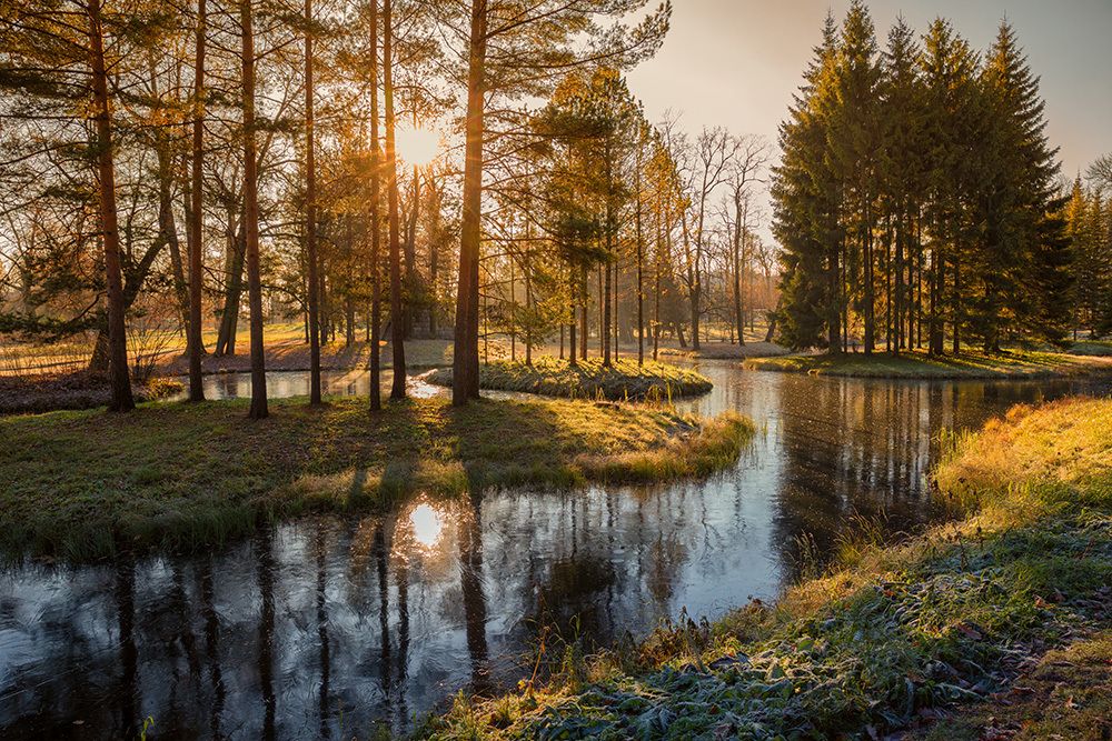 Первые заморозки