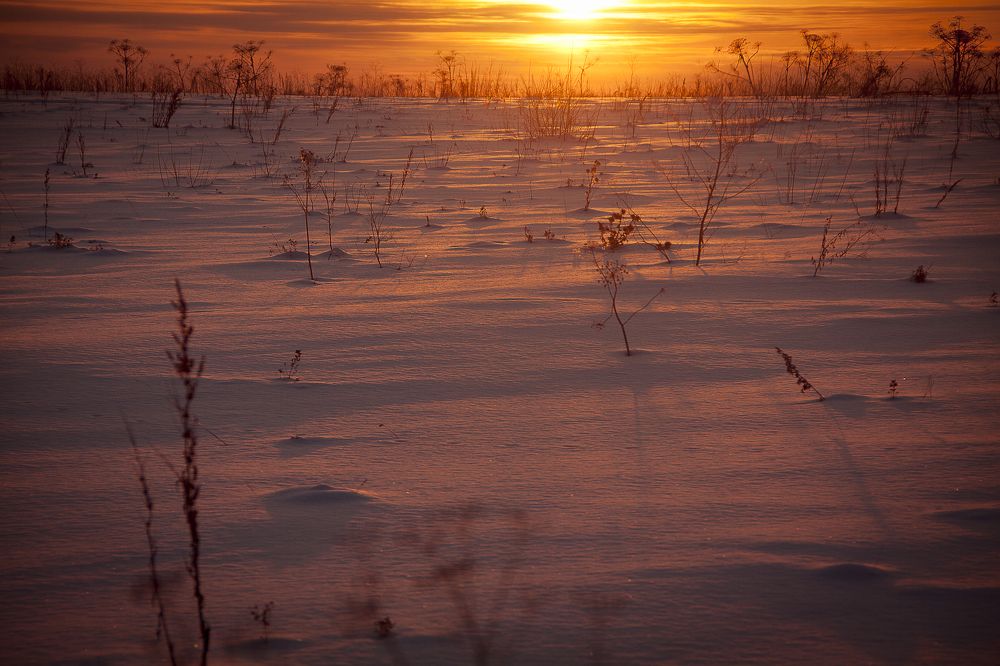 закат  уходящей  зимы  2018...