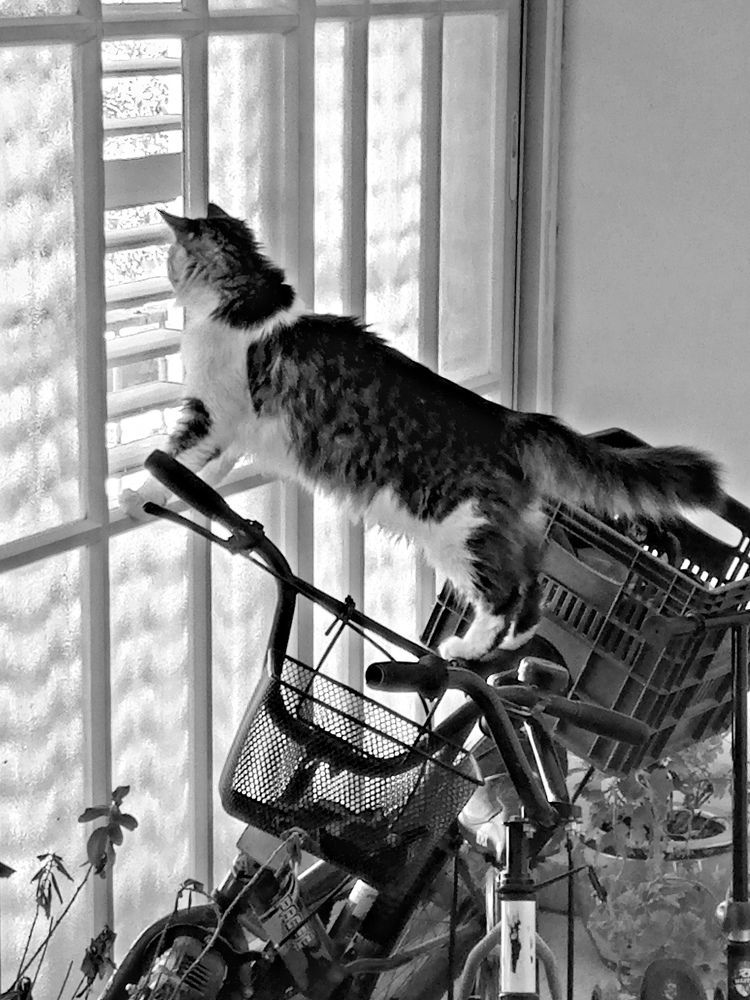 Photograph by Kandubasha