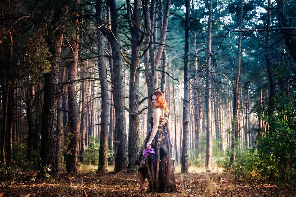 Заколдованный лес