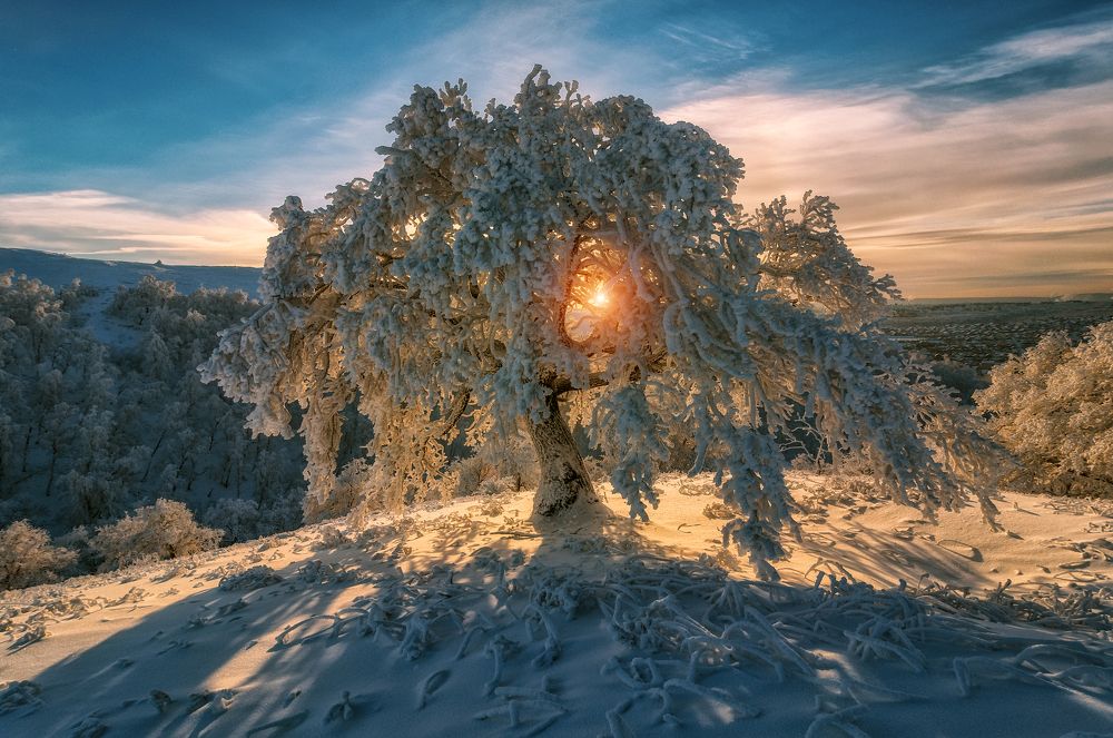 Проживи три месяца зимы и получи четвёртый в подарок!