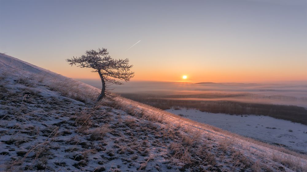 Морозное утро