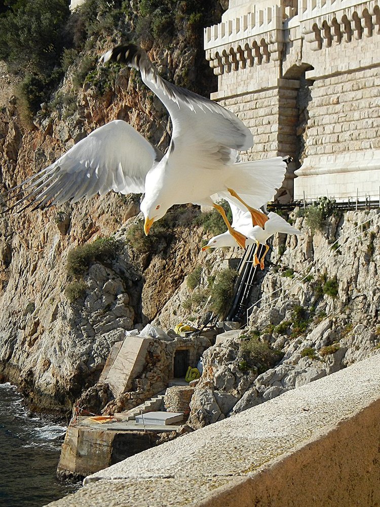 Photograph by Анна Попова