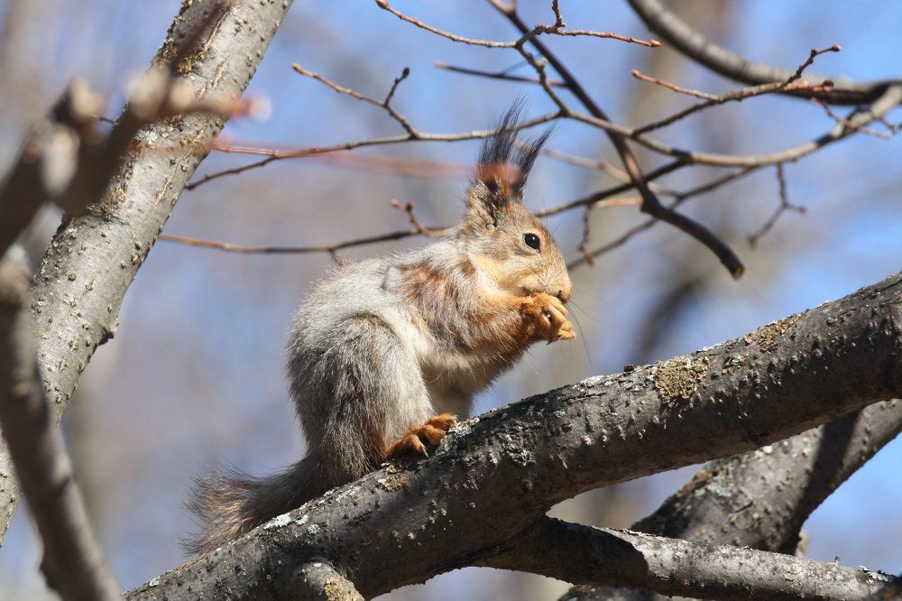 Photograph by Анна Попова