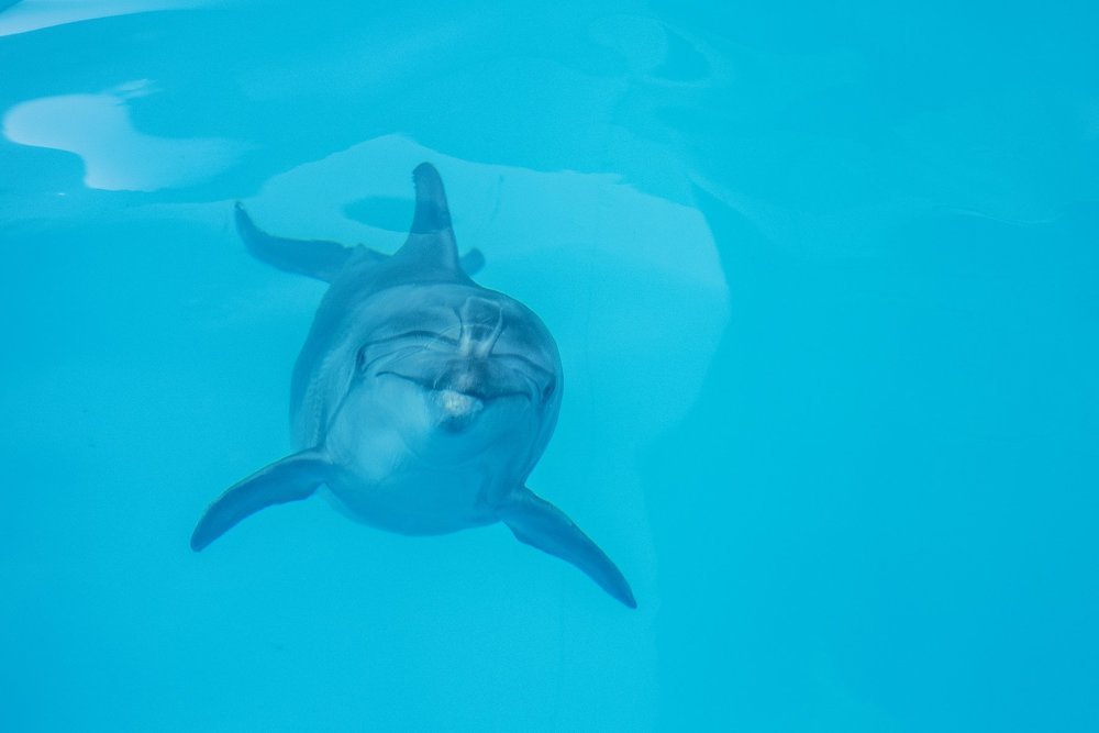 Где-то в глубине...