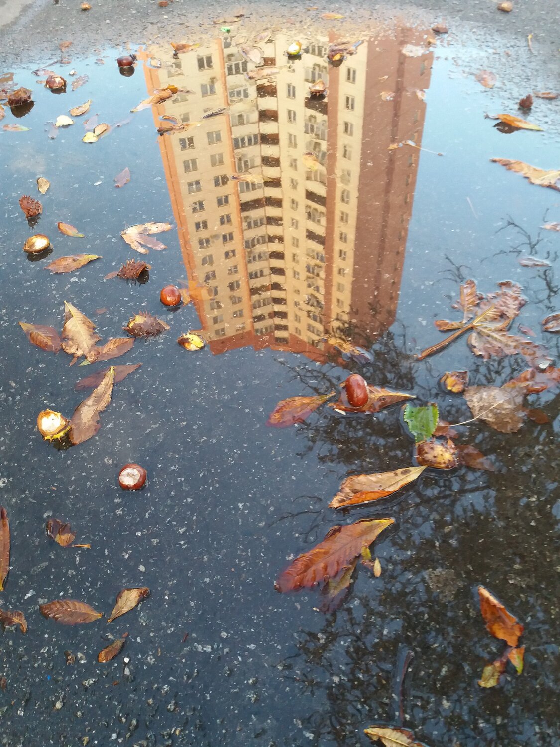 окно природы