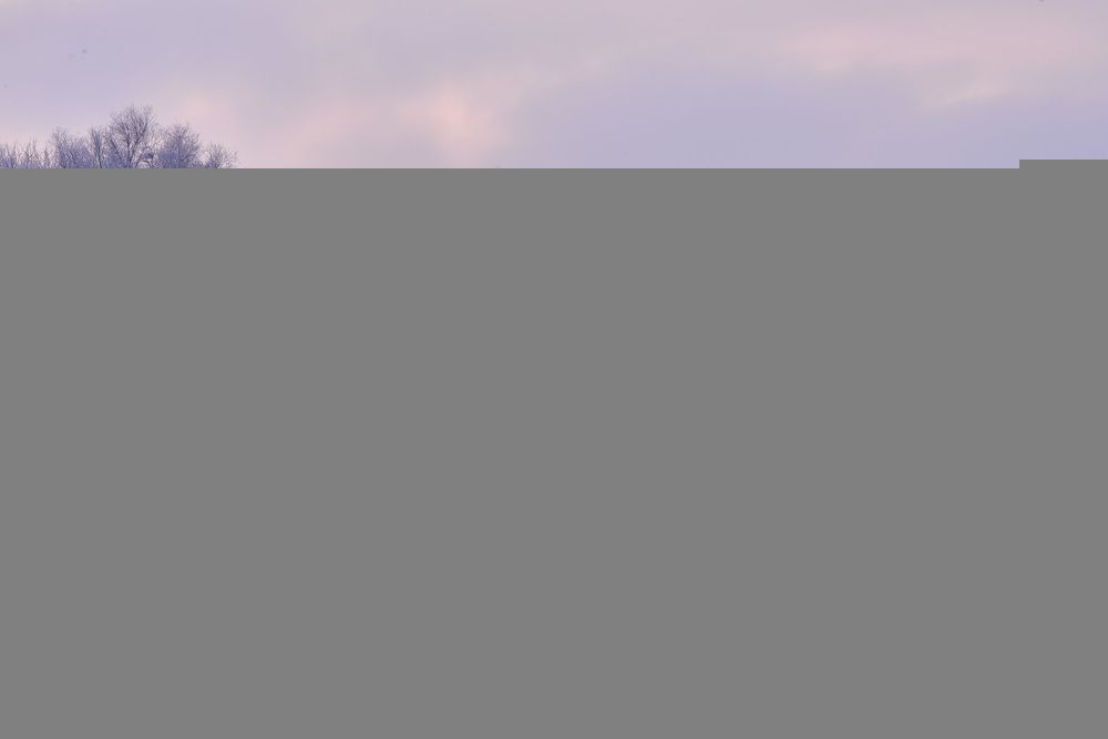 Морозный рассвет