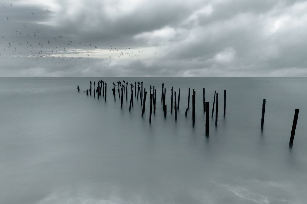 Призрачность желаний. free will  an illusion