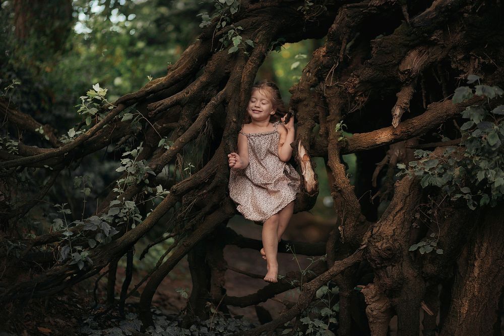 Лесная сказка