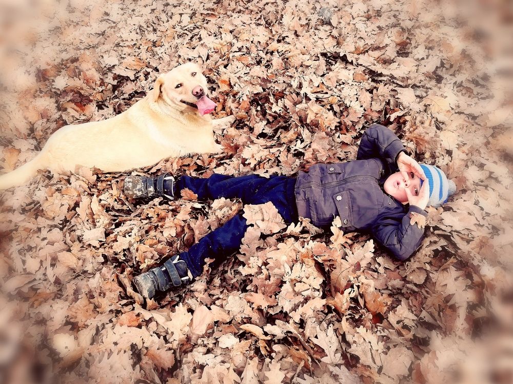 Мягкие листья