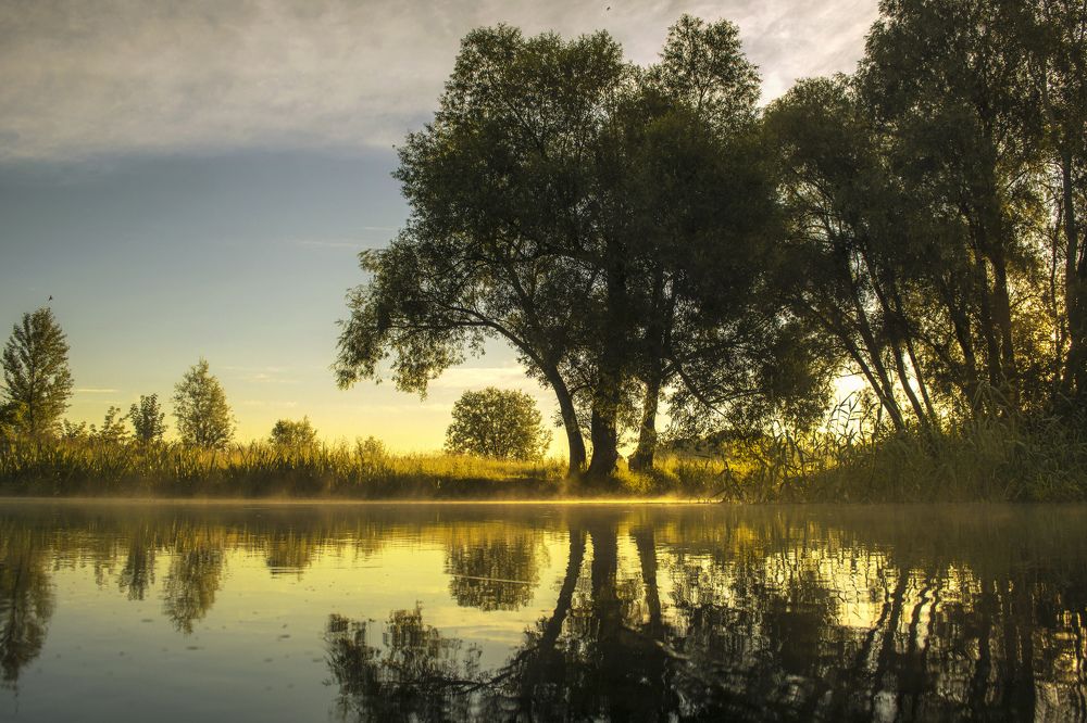 Тонкая грань.