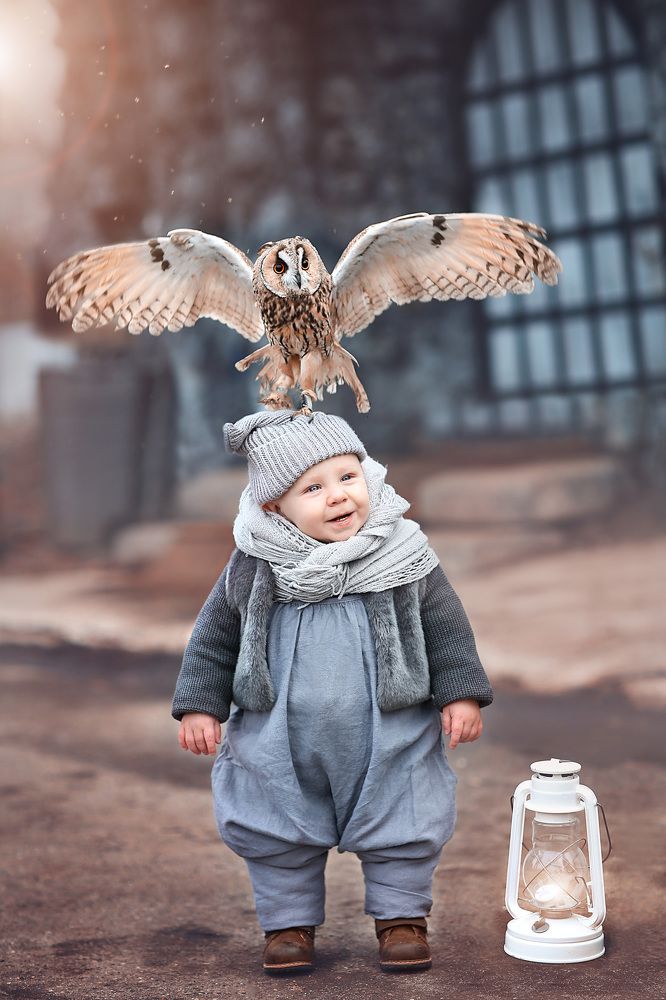 Властелин птиц