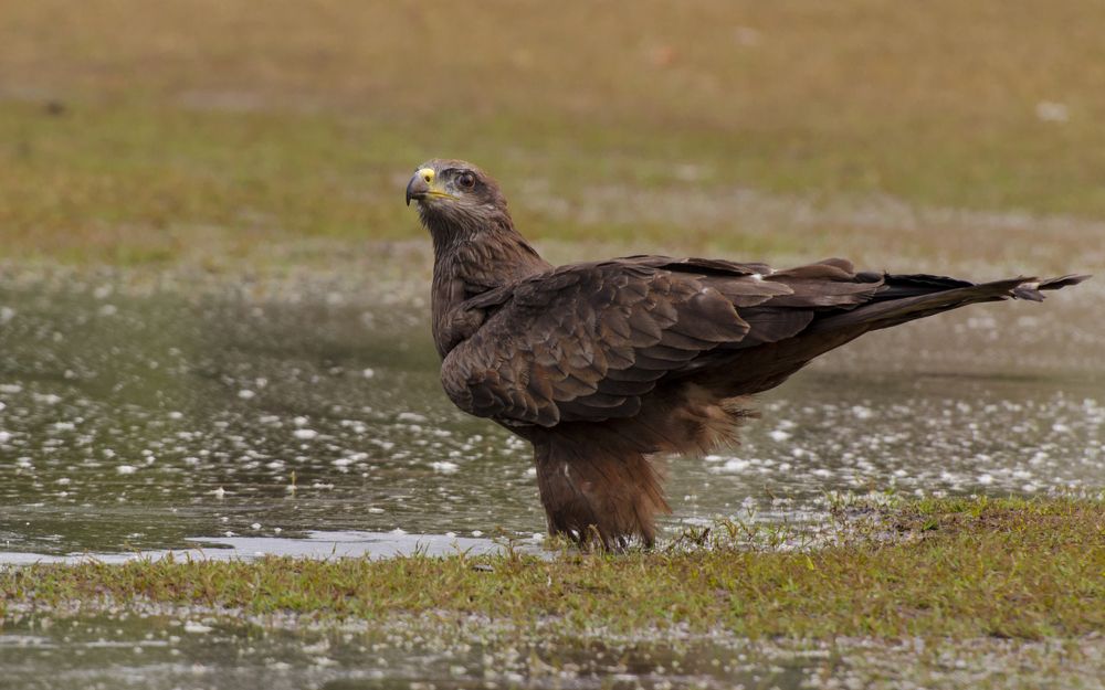 Photograph by Анна Евсеева