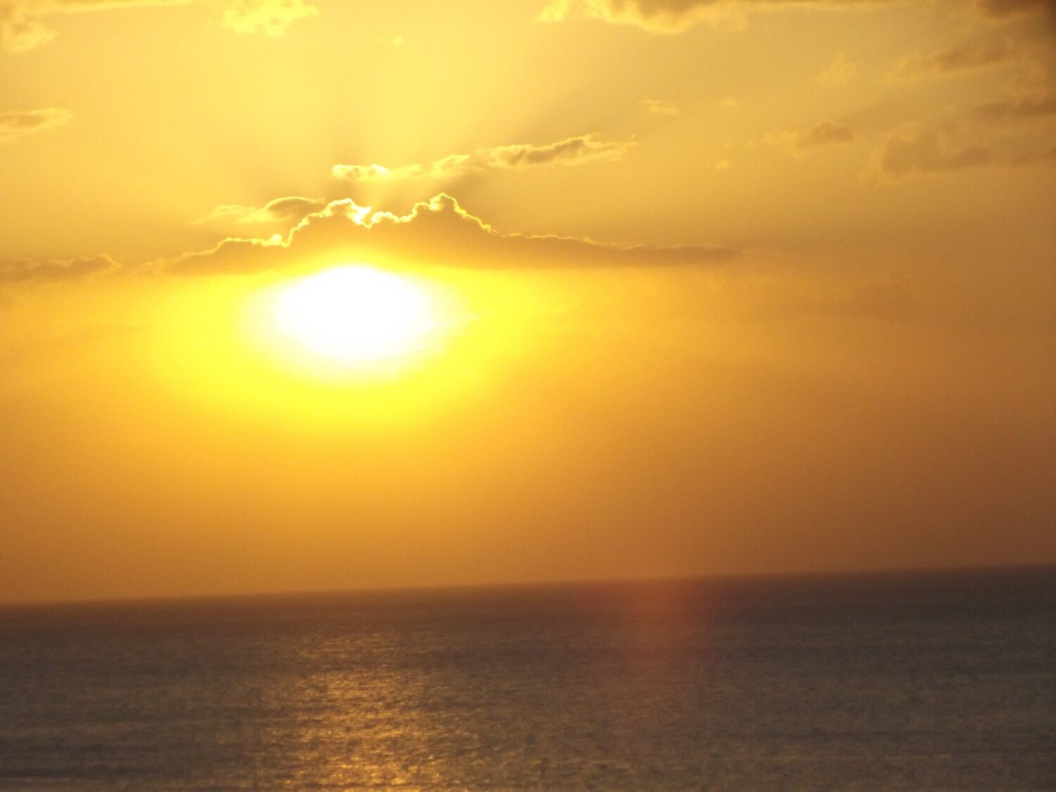 Photo #2260641