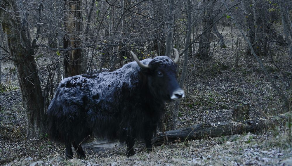 Фотография автора Медведев Сергей
